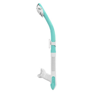Mares Snorkel Ergo Dry Aqua